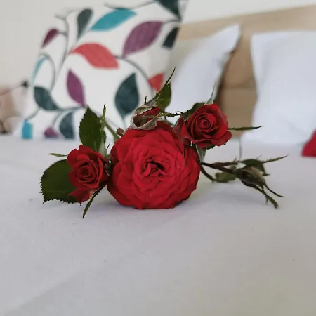 招待所 Casa Del Mar 普里莫尔斯科