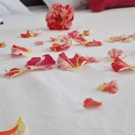 Casa Del Mar 3* 普里莫尔斯科