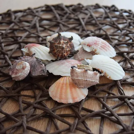 招待所 Casa Del Mar